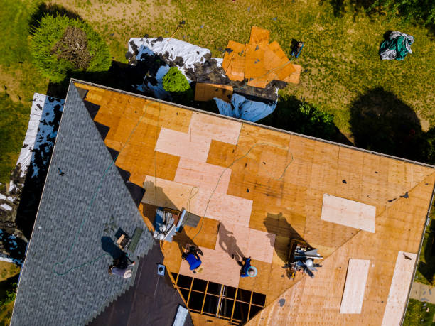 Roof Gutter Cleaning in Etowah, TN