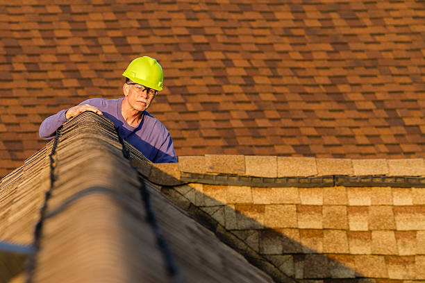 Best Gutter Installation and Roofing  in Etowah, TN