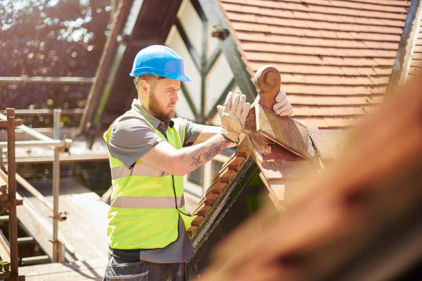 Best Roof Gutter Cleaning  in Etowah, TN