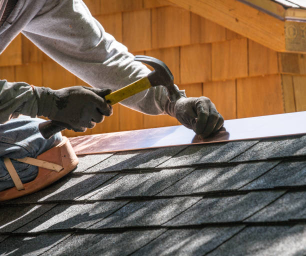 Best Roof Gutter Cleaning  in Etowah, TN